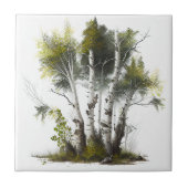 樺の木の木、北アイルランド樺の木 タイル (正面)