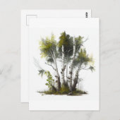 樺の木の木、北アイルランド樺の木 ポストカード (正面/裏面)