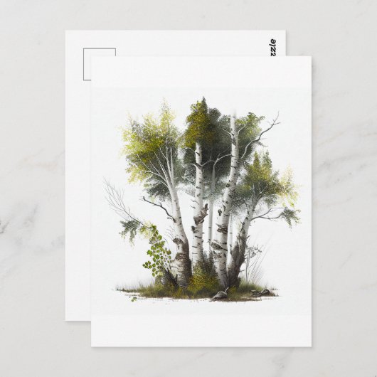 樺の木の木、北アイルランド樺の木 ポストカード (正面/裏面)