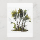 樺の木の木、北アイルランド樺の木 ポストカード (正面)