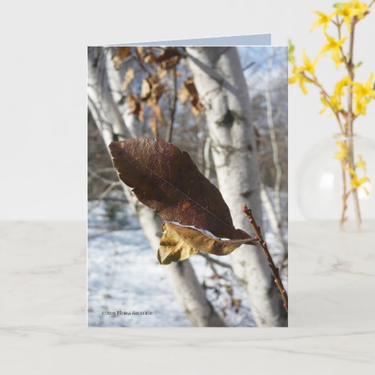 樺の木の死んだ葉 カード (黄色い花)