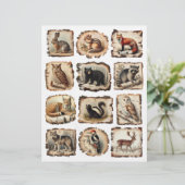 樺の木の絵を描樹皮イラスト上の森林動物 (スタンド正面)