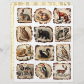 樺の木の絵を描樹皮イラスト上の森林動物 (正面/裏面)