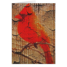 樺の木の（鳥）ショウジョウコウカンチョウ