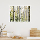 樺の木ウッズ ポスター (キッチン)