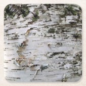 樺の木ウッドコースター001 スクエアペーパーコースター (正面)