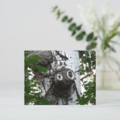 樺の木ソウルツリー魔法顔撮影はがき ポストカード (スタンド正面)