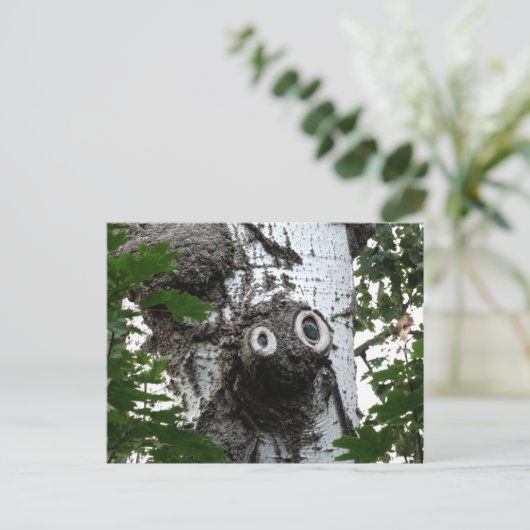 樺の木ソウルツリー魔法顔撮影はがき ポストカード (スタンド正面)