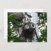 樺の木ソウルツリー魔法顔撮影はがき ポストカード (正面/裏面)