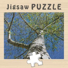 樺の木ツリークラウン写真 –  ジグソーパズル