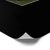 樺の木ツリーズウィルダネスフォレストフォトプリント ポスター (角)