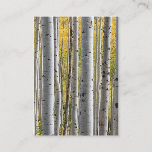 樺の木ツリーハートラス結婚ト詳細カード エンクロージャーカード (裏面)