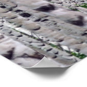 樺の木ツリーフォレスト自然 ポスター (角)