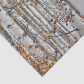 樺の木ツリーフォレスト 薄葉紙 (詳細)