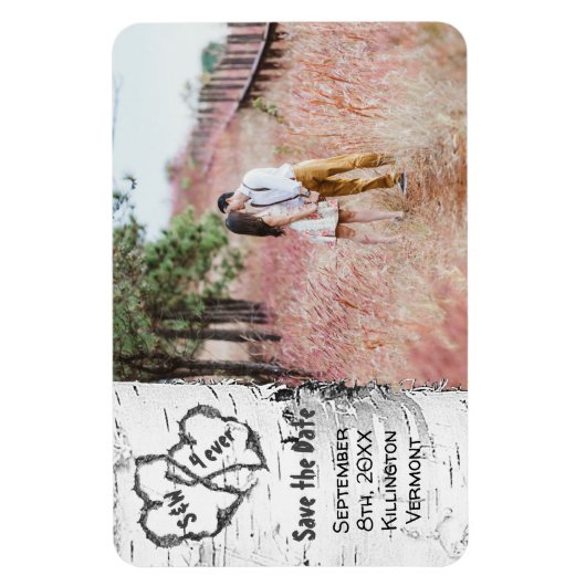 樺の木ツリー写真Date Magnetを保存 マグネット (縦)