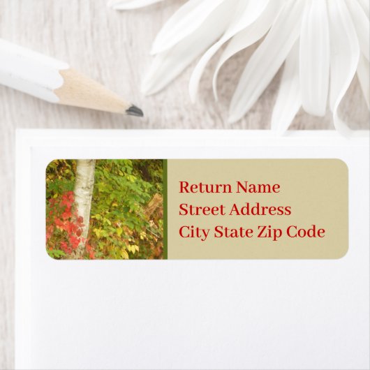 樺の木ツリー幹 ラベル (インサイチュ)