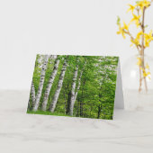 樺の木ツリー誕生日カード カード (黄色い花)