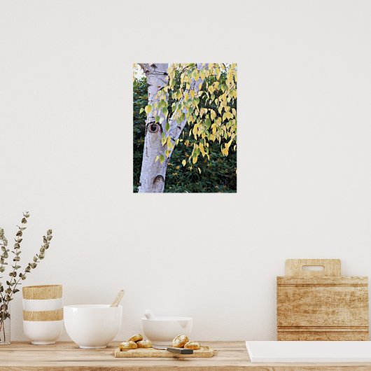 樺の木ツリー顔自然 ポスター (キッチン)