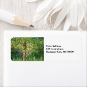 樺の木ツリー ラベル (インサイチュ)