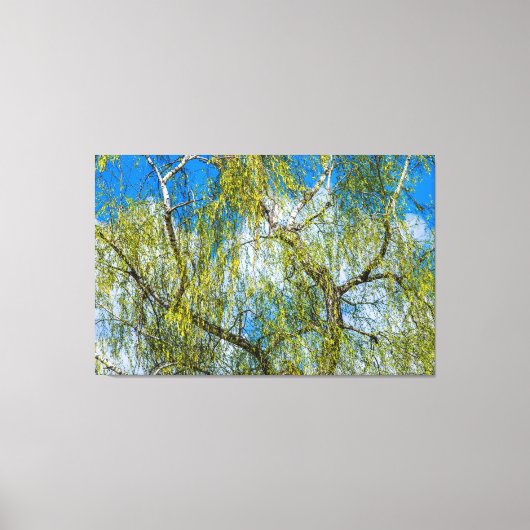樺の木ツリー – 春は空中にある キャンバスプリント (正面)