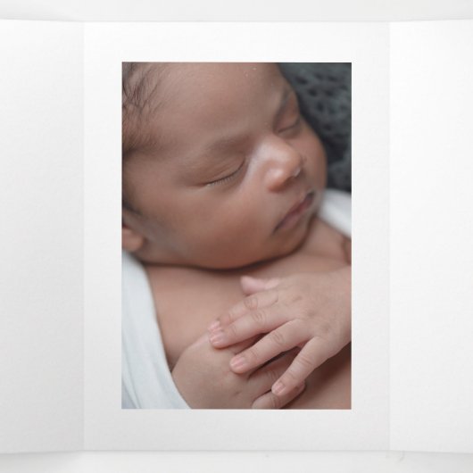 樺の木ツリー、3フォトコラージュベビー誕生 三つ折り案内状 (内部中)