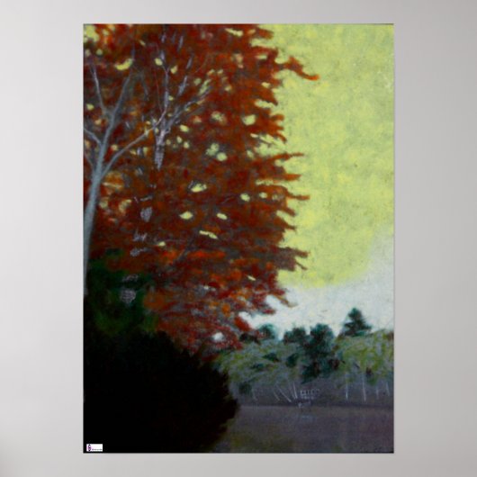 樺の木バイザレイクポスター ポスター (正面)