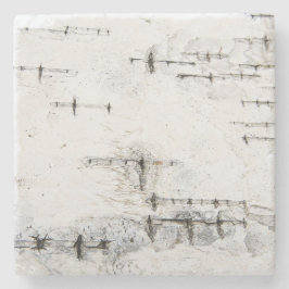 樺の木バークカード ストーンコースター