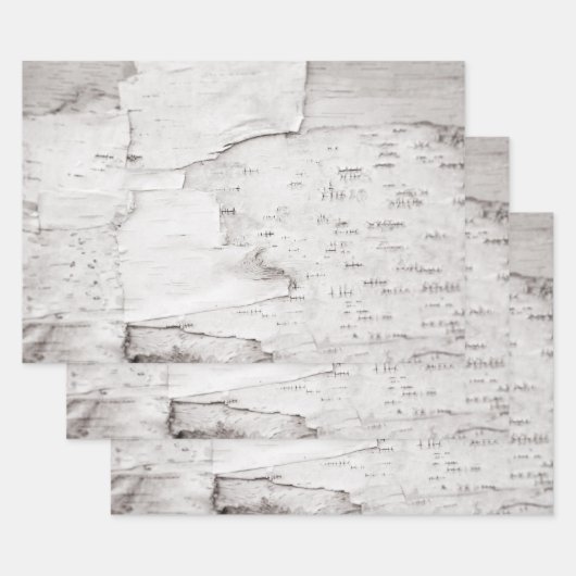 樺の木バークツリーホワイトカントリー素朴ウッドランド ラッピングペーパーシート (セット)