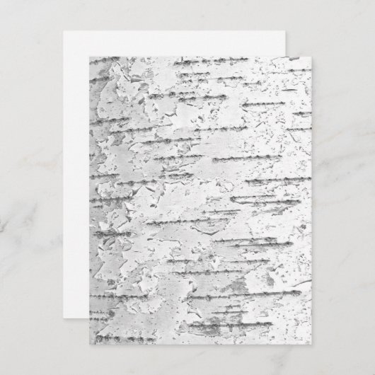 樺の木バークノートカード ノートカード (正面/裏面)