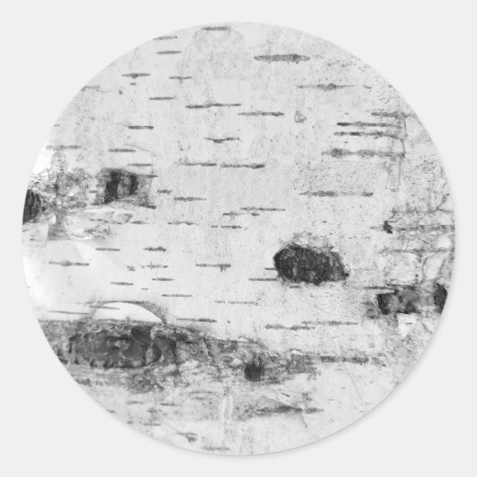 樺の木バークパターンクラシックラウンドステッカー ラウンドシール (正面)