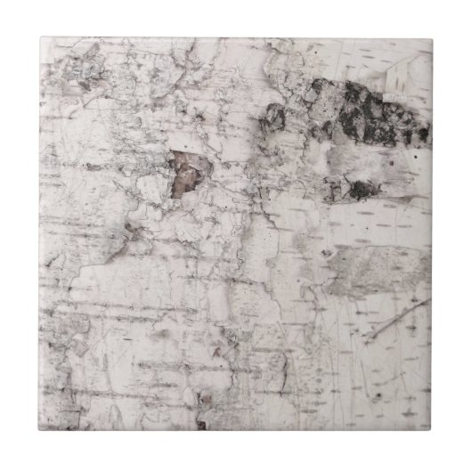 樺の木バークパターンセラミックタイル タイル (正面)