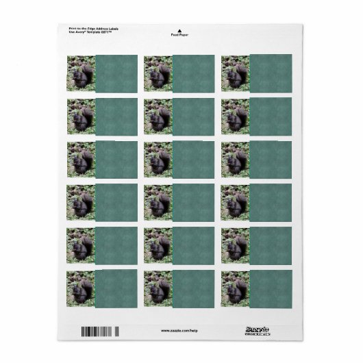 樺の木ベイリス ラベル (フルシート)