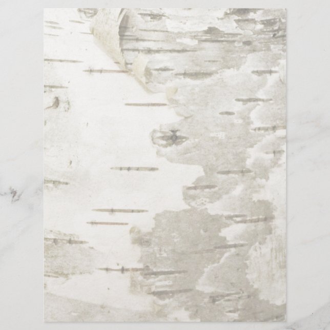 樺の木ライト (正面)