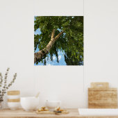 樺の木傘 ポスター (キッチン)