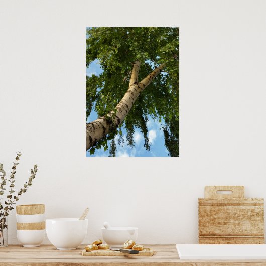 樺の木傘 ポスター (キッチン)