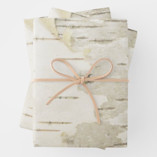 樺の木包装紙自然樺の木樹皮紙 ラッピングペーパーシート (インサイチュ)