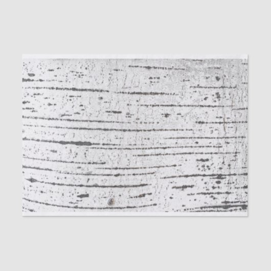 樺の木吠え声パターン 薄葉紙 (正面)