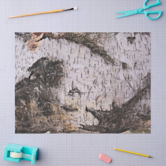 樺の木吠え声-木製の質の自然の写真 薄葉紙 (クラフト)