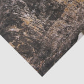 樺の木吠え声-木製の質の自然の写真 薄葉紙 (詳細)