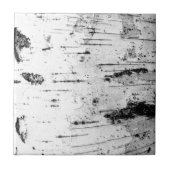 樺の木幹 タイル (正面)