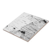 樺の木幹 タイル (側面)