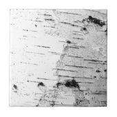 樺の木幹 タイル (正面)