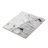 樺の木幹 タイル (側面)