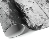 樺の木幹 ラッピングペーパー (ロールコーナー)