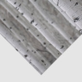 樺の木木の贈り物 薄葉紙 (詳細)