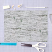 樺の木木目テクスチャ 薄葉紙 (クラフト)