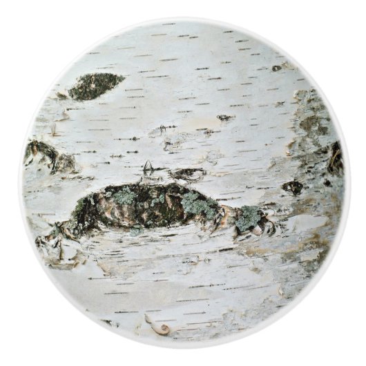 樺の木木素朴な引出しのノブ セラミックノブ (正面)