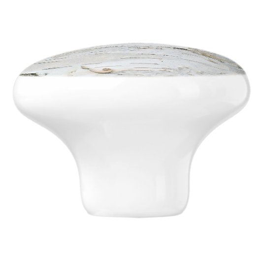 樺の木木素朴な引出しのノブ セラミックノブ (側面)