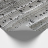 樺の木木 ラッピングペーパー (角)