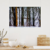 樺の木林 ポスター (キッチン)